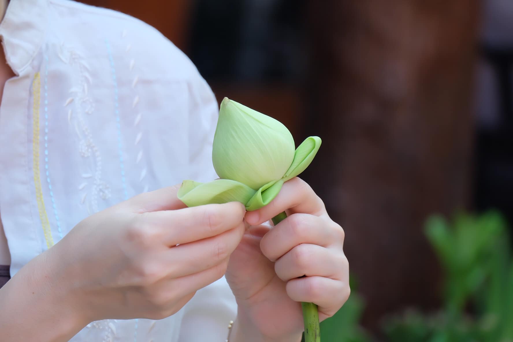 You are currently viewing How to fold lotus petals